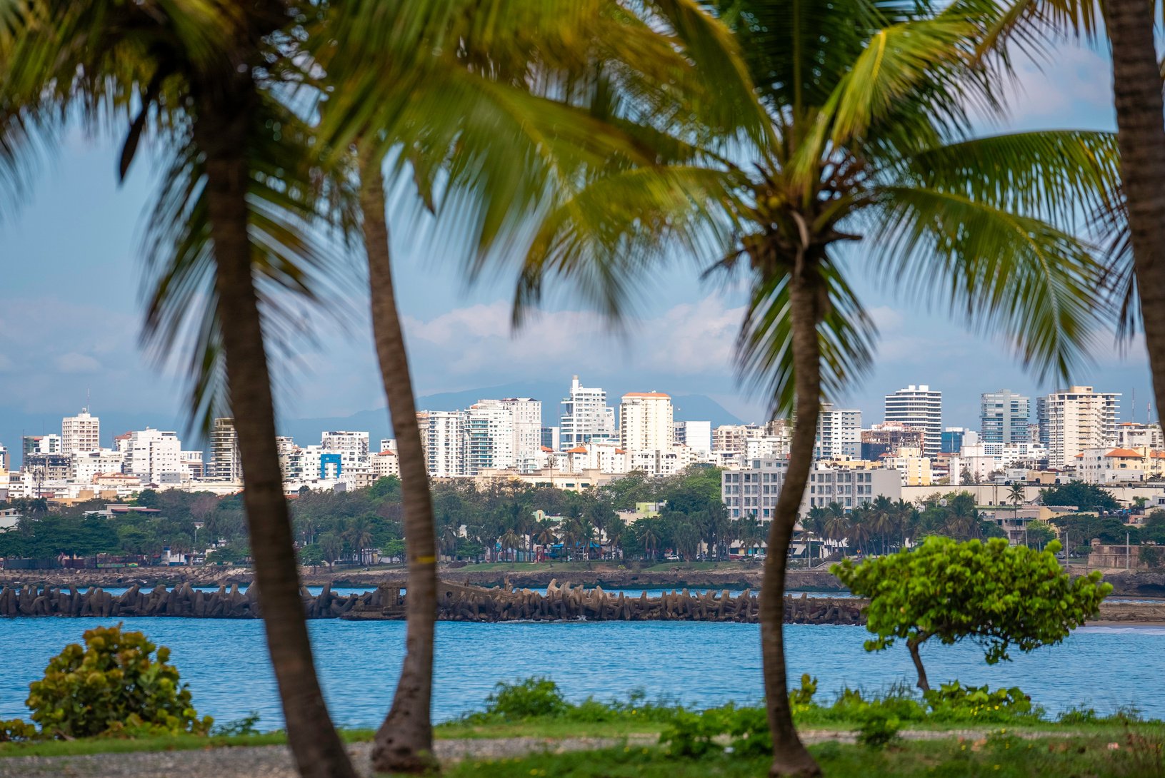 Panorama of the city Santo Domingo, the capital of the Dominican Republic view through the palm trees. Big coastal city